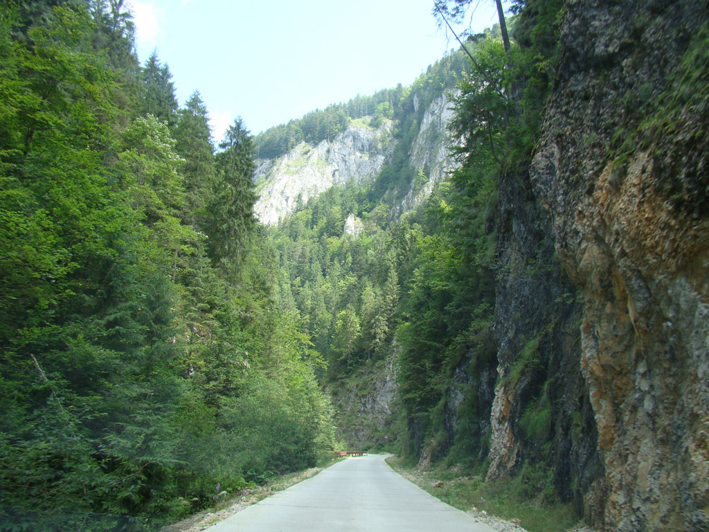  Valea Ordincusii spre Ghetarul de la Scarisoara, atractii turistice Valea Ariesului